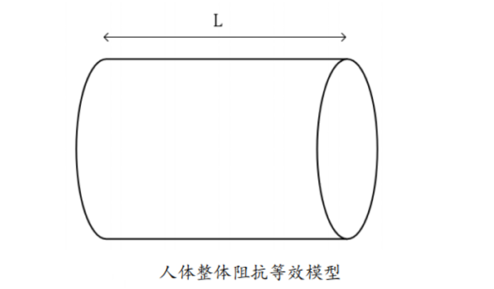 出体脂的？数据准确吗？一起来了解pg电子免费模拟器体脂秤是怎么测